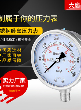 不锈钢膜盒压力表YE100BF 40KPa60耐硫压力表 耐高温耐腐蚀微压表