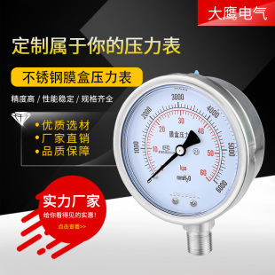 40KPa60耐硫压力表 不锈钢膜盒压力表YE100BF 耐高温耐腐蚀微压表
