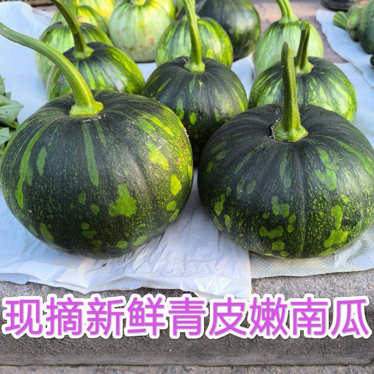 浙江农家嫩南瓜粉糯当黄心季新甜半嫩半老南瓜青皮圆嫩磨盘南瓜