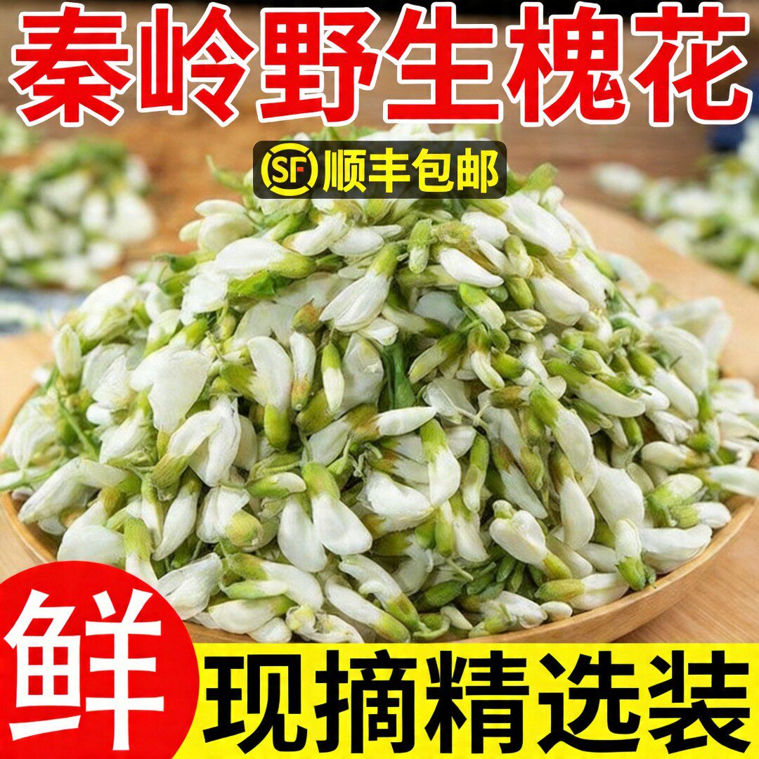 2026顺丰新鲜洋槐花现摘应当季时令蔬菜农家野生净菜刺槐树花骨朵