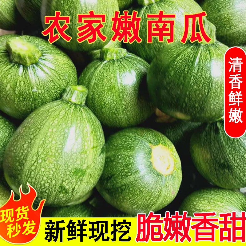 鲜嫩圆南瓜南瓜饼新鲜现摘当季农家蔬菜短棒本地奶油肉老品种丝瓜