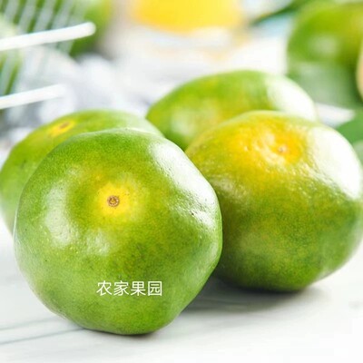 浙江无籽蜜桔酸甜橘子水果新鲜薄皮现摘酸橘子孕妇绿橘子