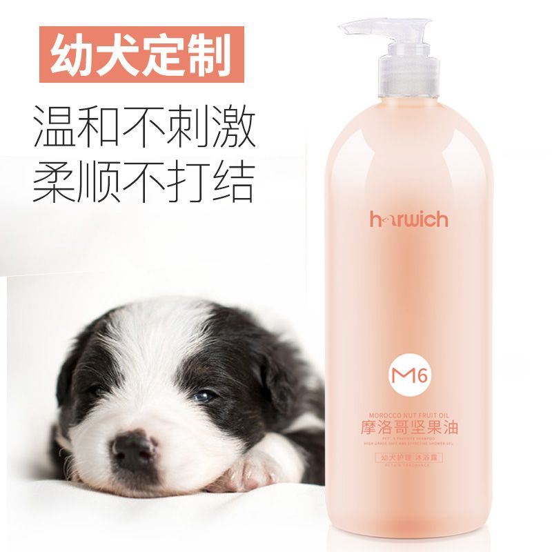 狗狗沐浴露除臭留香抑菌泰迪金毛比熊专用猫幼犬温和宠物洗澡香波