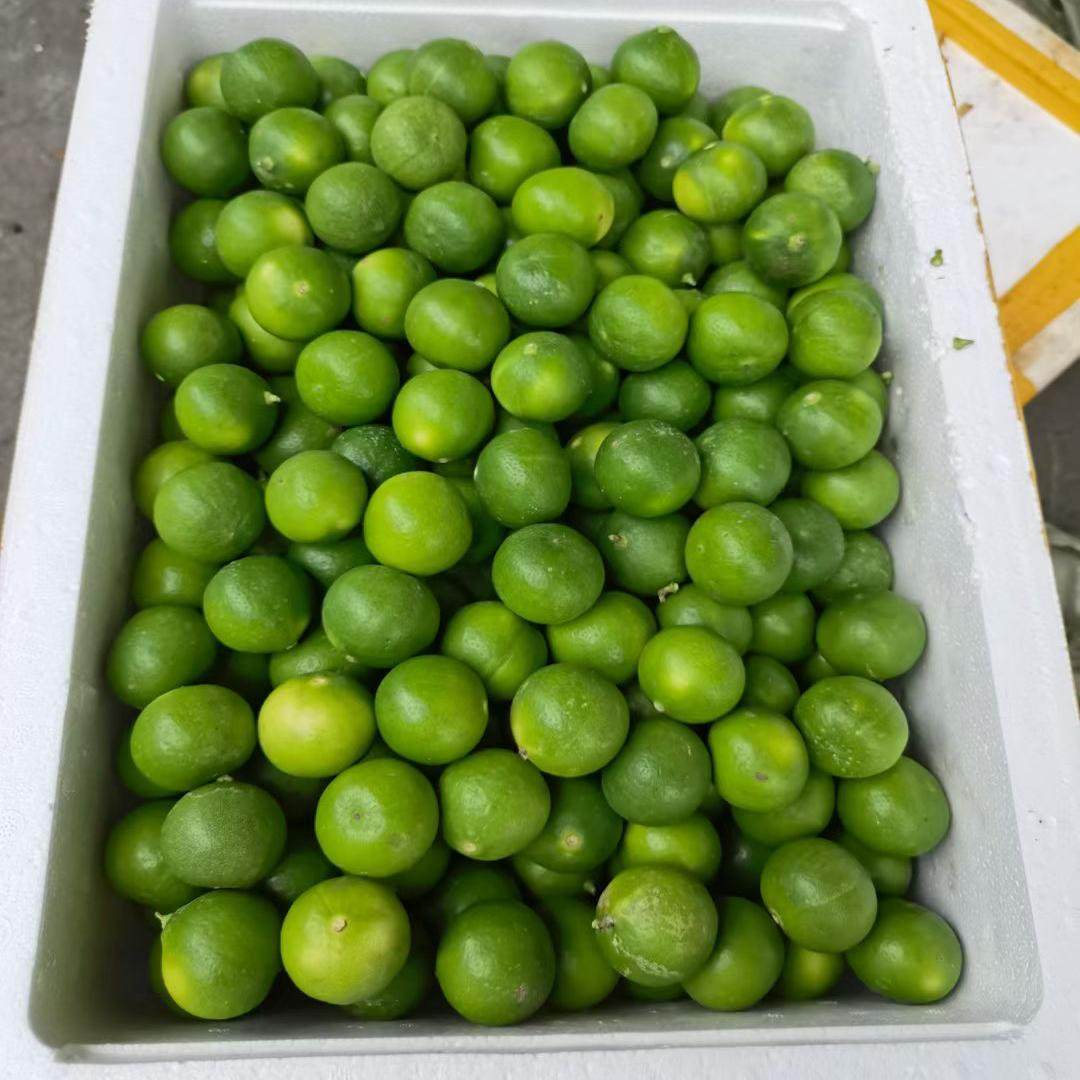 泰国菜泰式青柠檬新鲜柠檬水果皮薄多汁小青檬柠水吧一份10个