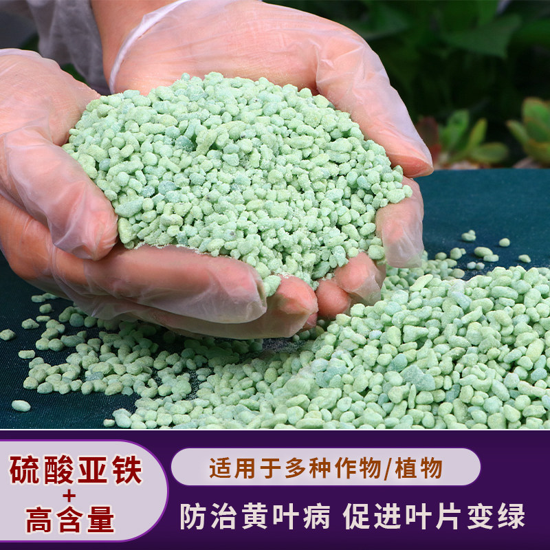 硫酸亚铁花肥料土壤改良酸性茉莉杜鹃花茶花绿萝发财树黄叶专用肥