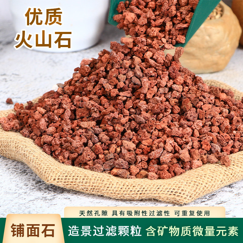 火山石颗粒兰花专用植料君子兰蝴蝶兰营养土多肉花卉铺面石子颗粒