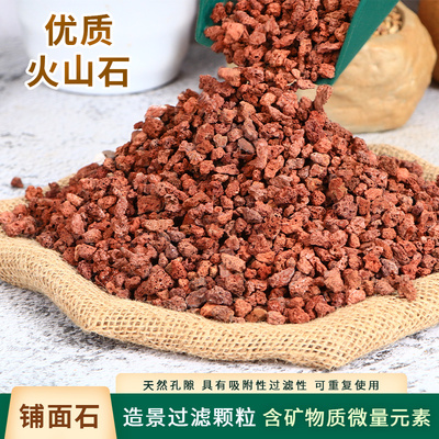 火山石颗粒兰花专用植料君子兰蝴蝶兰营养土多肉花卉铺面石子颗粒