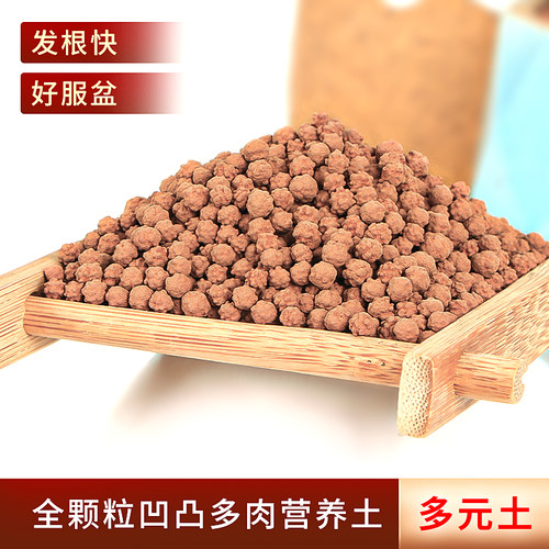 多元土纯颗粒活力土全颗粒透气铺面石球球土多肉肉植物专用营养土 - 封面