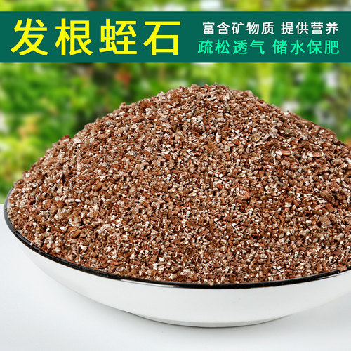 蛭石颗粒园艺扦插乌龟蛋孵化