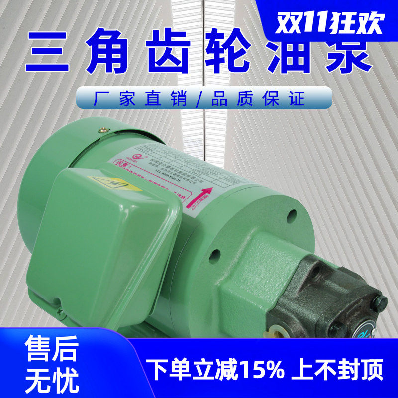 齿轮油泵电机摆线泵电动工业耐高温供油润滑机床车床液压齿轮泵