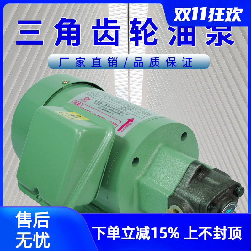 齿轮油泵电机摆线泵电动工业耐高温供油润滑机床车床液压齿轮泵