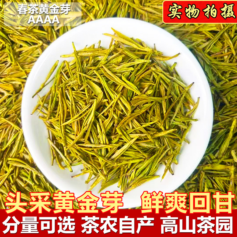 【送鹅蛋杯】新茶2026明前黄金芽茶叶送礼黄金牙绿茶叶自己喝春茶