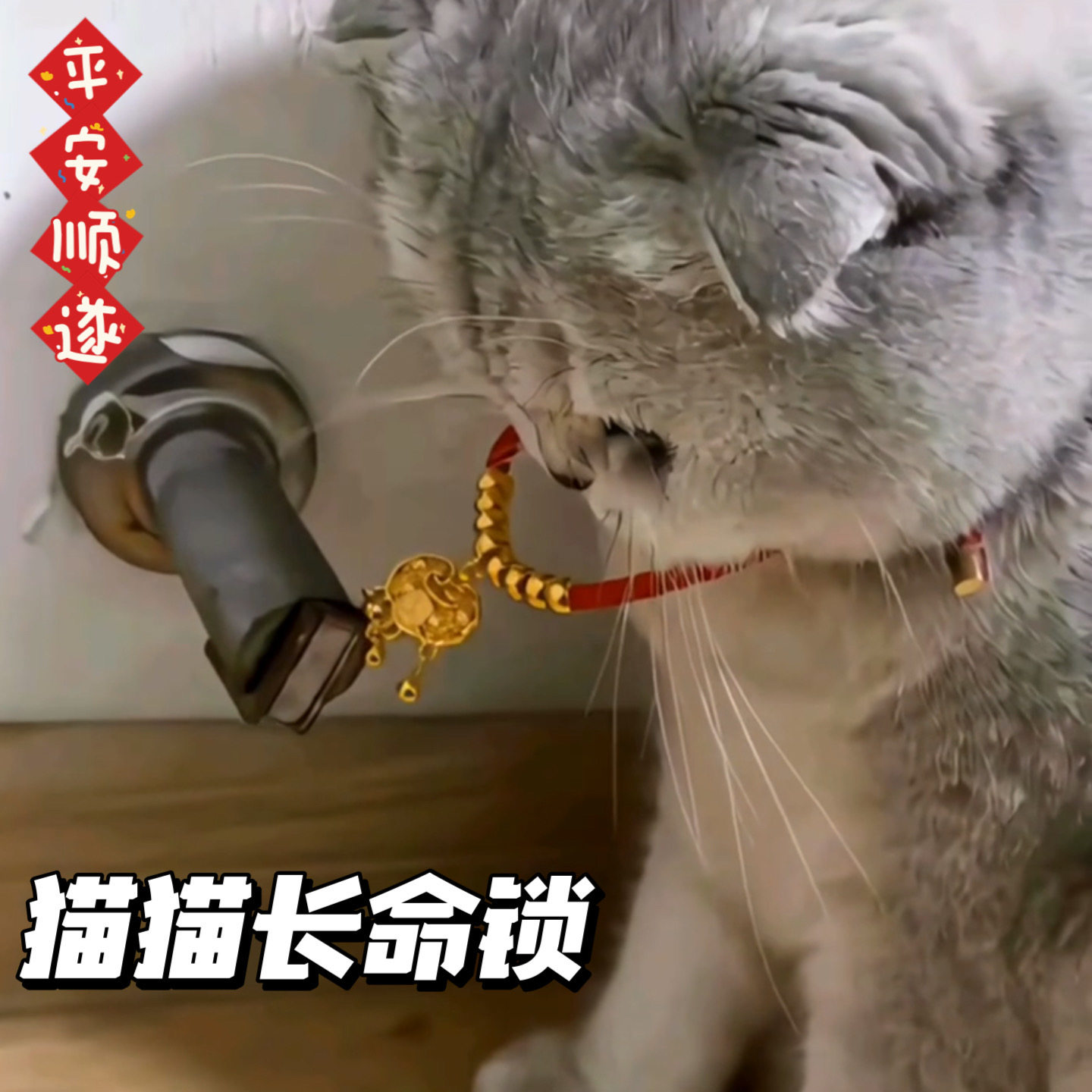 新年装饰小猫项链长命锁装饰仿金项链金珠平安锁猫项链宠物项圈