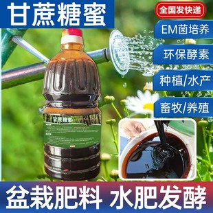 广西甘蔗糖蜜环保酵素红糖em菌营养液水肥发酵水产养殖2.5kg装