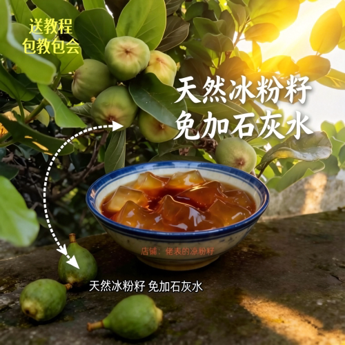 纯天然野生冰粉籽免石灰家用可制作无气泡冰粉送教程纱布包教包会