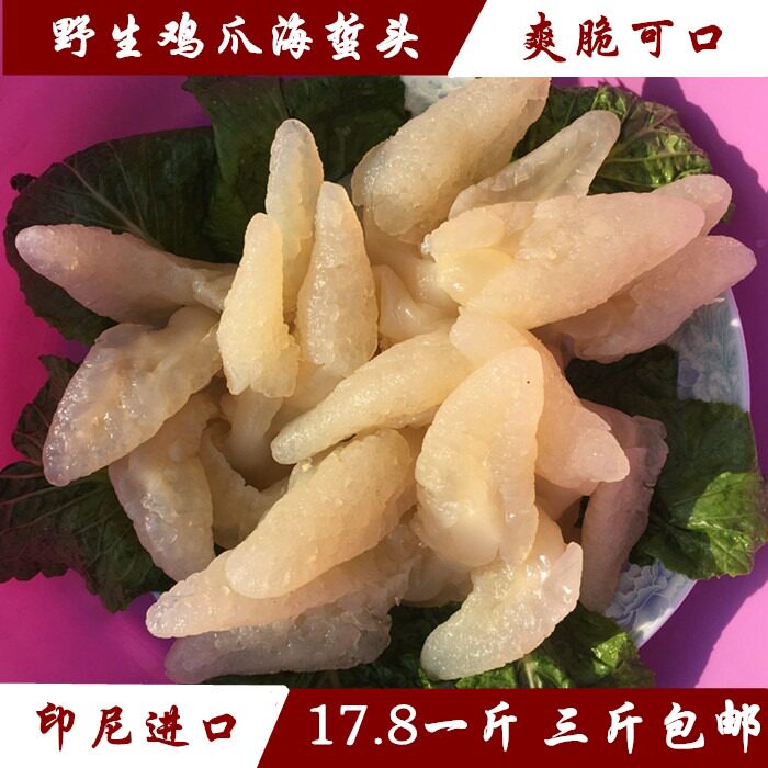 渤海湾海蜇头 鸡爪海蜇头八爪海蜇头 海蜇丝海蜇皮非即食野生海蜇