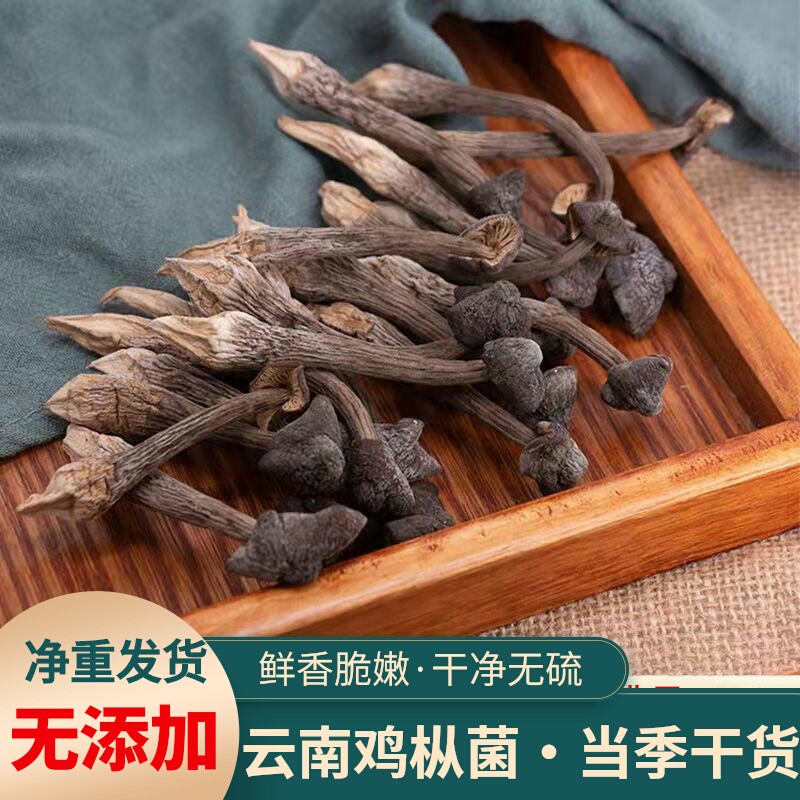 黑皮鸡枞菌干货云南特级干鸡枞菌