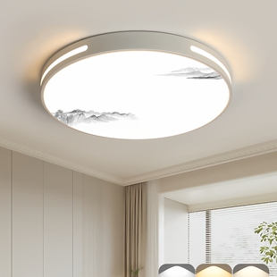 LED吸顶客厅灯主卧室灯2024年新款 现代简约圆形阳台房间过道灯具