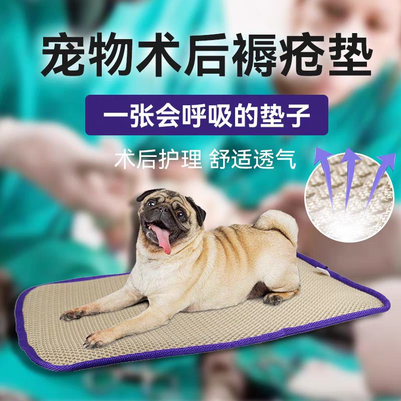 绣宠系列褥疮垫无味减少骨骼肌肉压力防止褥疮发生镇店之宝,宠物/宠物食品及用品,特色医疗用品,淘宝优惠券,粉丝福利购,淘宝优惠卷