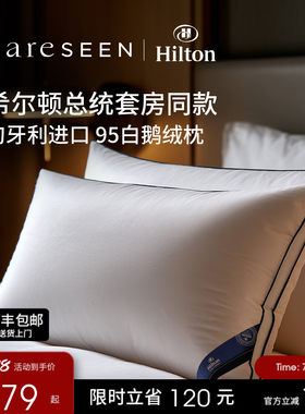 希尔顿总统套房匈牙利白鹅绒枕头