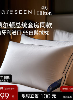 希尔顿总统套房匈牙利白鹅绒枕头