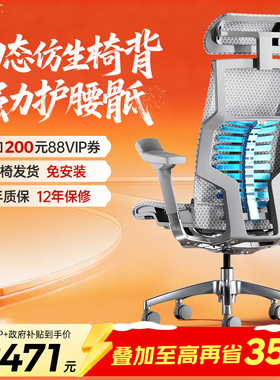 Ergonor保友pofit 2代智能高端电脑椅人体工学椅办公椅电竞椅子