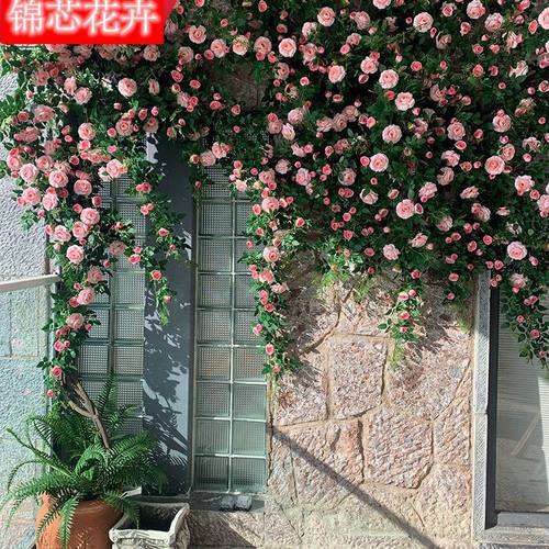 锦芯花卉玫瑰条蔷薇条厂家直销