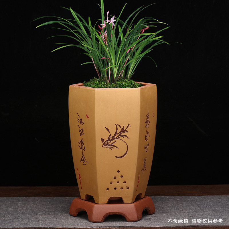 紫砂兰花盆中号精品刻绘陶瓷六方蝴蝶兰君子兰春墨蕙达摩建兰包邮