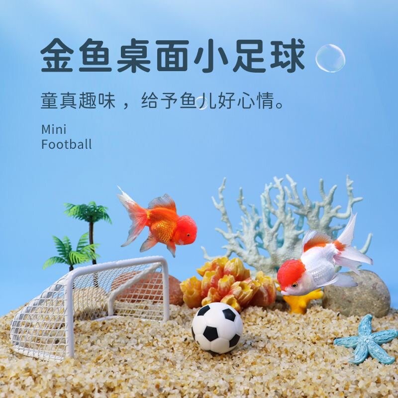 兰寿金鱼沉水小足球罗汉鱼逗鱼神器鱼缸造景摆件玩具鹦鹉鱼水族箱