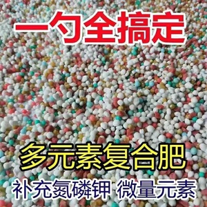 高效缓释微量元素花卉复合肥