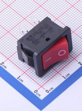 RS601A-1010011R3B RS601A-1010011R3B 插件 船型开关