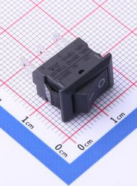 RS601HL-1020011BB RS601HL-1020011BB 插件 船型开关