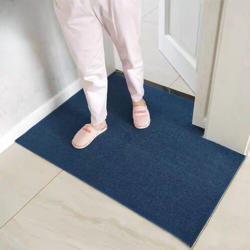 入户门地垫门口脚垫家用玄关垫子