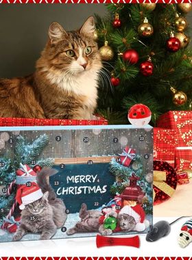 Christmas Advent Calendar 24 Grid Cat Toys Christmas Countdo