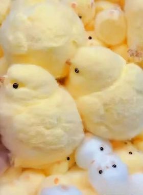 Yellow Chick Squishy Squeeze Toy Kids Adult Pop Fidget Toys