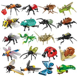 City Creativity Animal Insect Bees Dragonflies Ants Mantis L