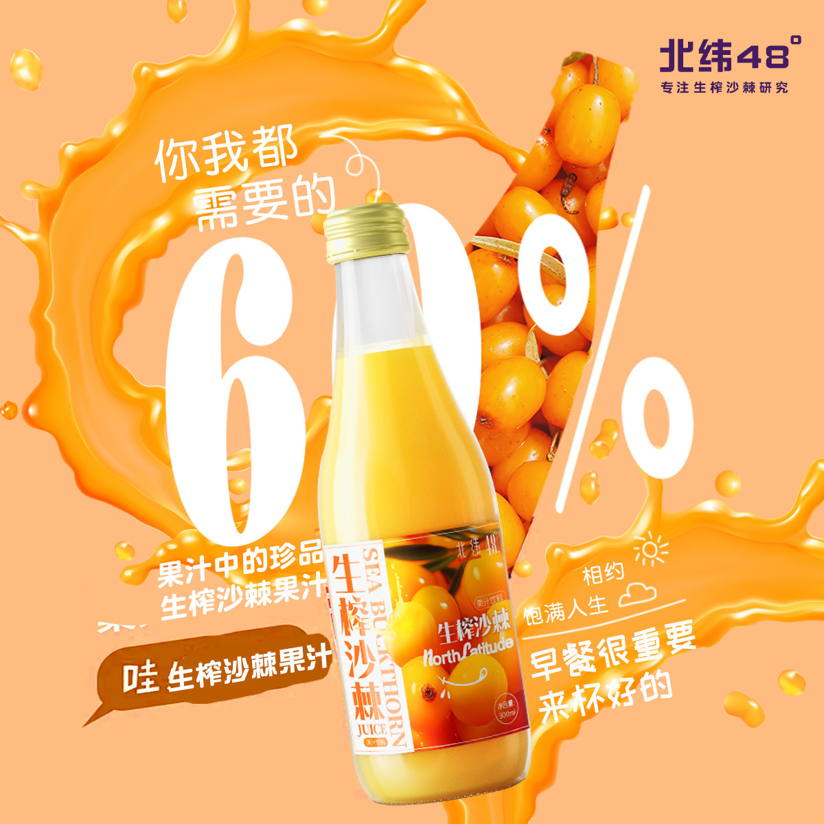 北纬48度大兴安岭特产生榨沙棘汁原浆纯果汁饮料8瓶装包邮