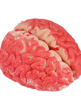 1Pc Halloween Prop Bloody Scary Fake Organ Human Brain Body