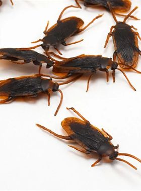 12pc Funny Fake Cockroach Halloween Party Decoration Trick P