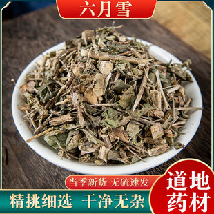 六月雪草药500克 野生六月雪中药材 满天星碎叶冬青白马骨中草药