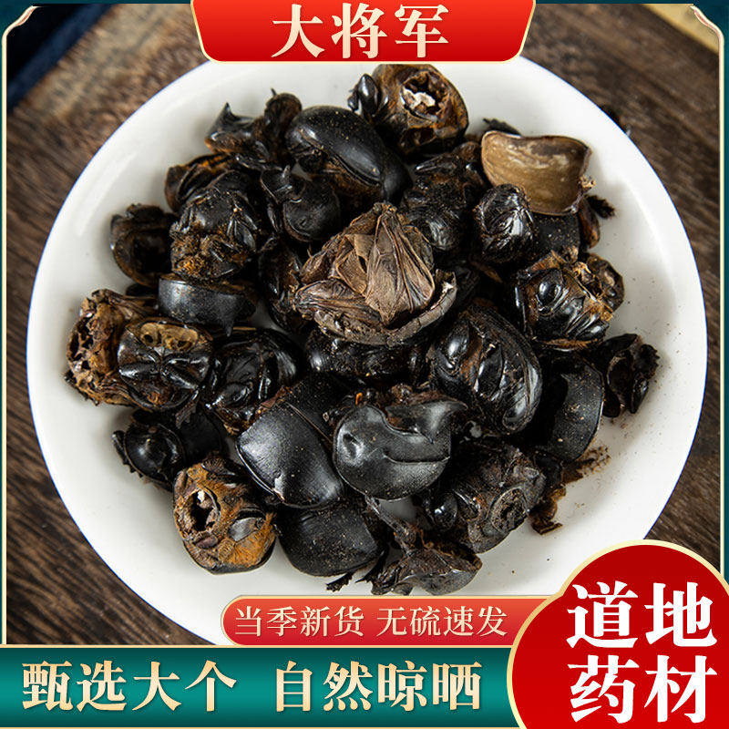 蜣螂虫中药材 特级大将军 屁巴虫 屎壳郎 黑兜虫 屁板虫500克包邮