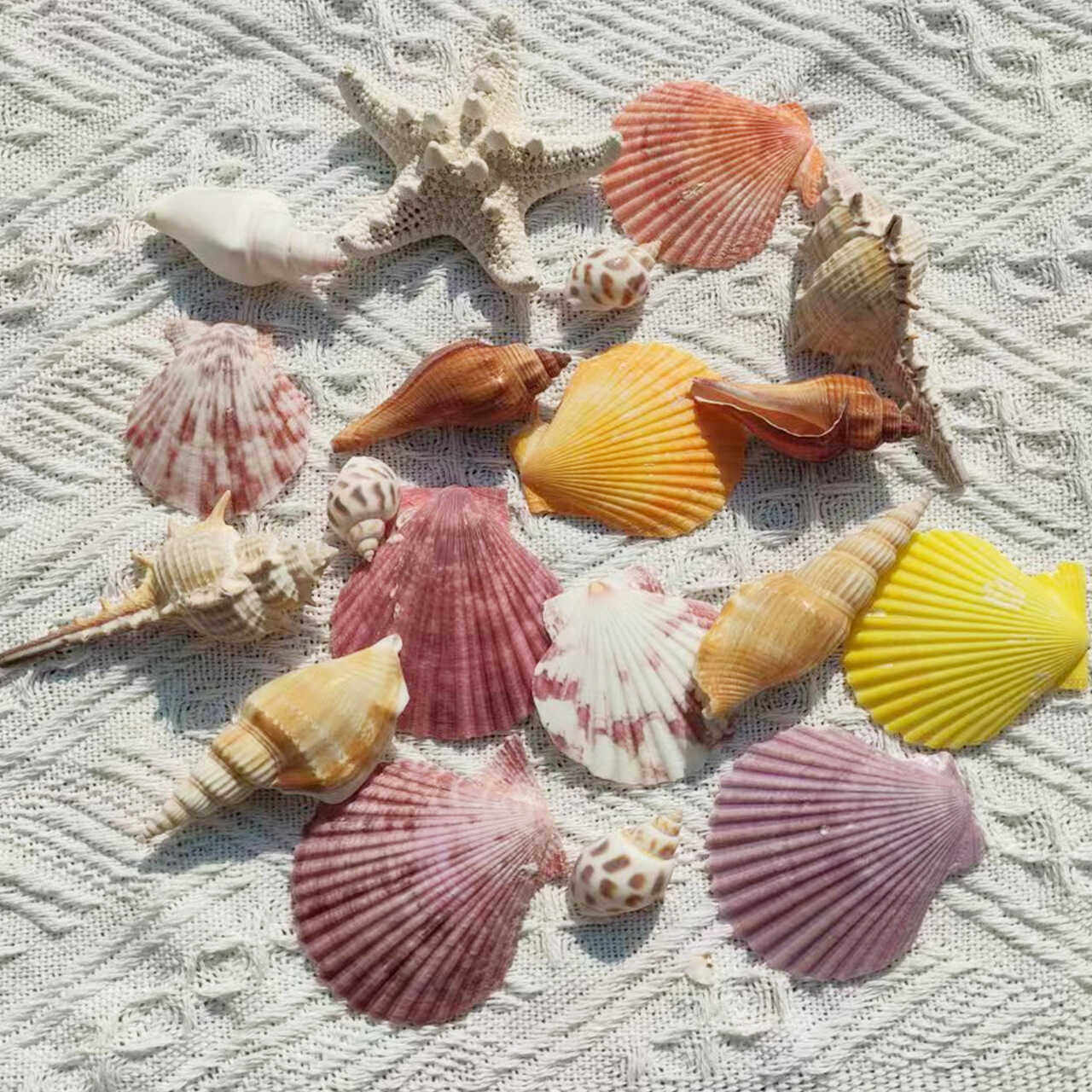 收藏鱼缸造景DIY幼儿园海星摆件图片