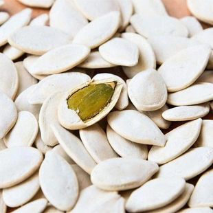 多籽南瓜种子黄白南瓜子专门产南瓜籽的南瓜品种高产南瓜籽