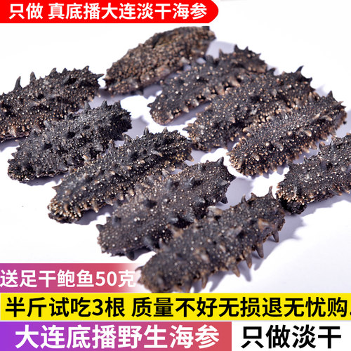 淡干辽参底播野生海参8年份海参