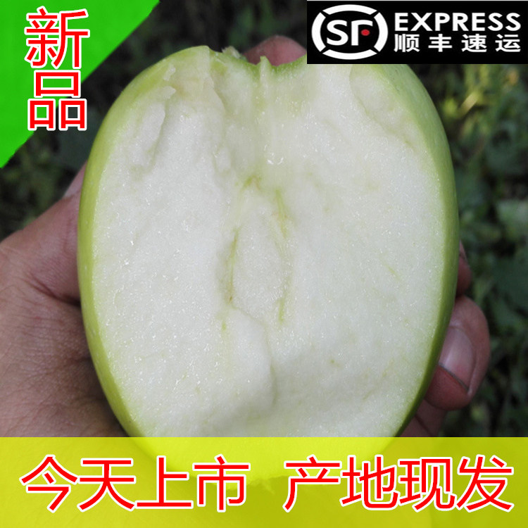 青苹果临猗60水果藤木酸甜新鲜