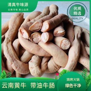 云南寻甸新鲜现宰清真2斤黄牛牛小肠 牛肠 牛杂火锅半成品1000g