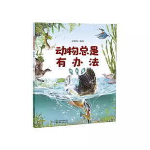 岁 册套装 藏食物 活下来 幼儿园大班至小学三年级 儿童文学佳作 专为 抓到鱼 动物总是有办法 孩子打造