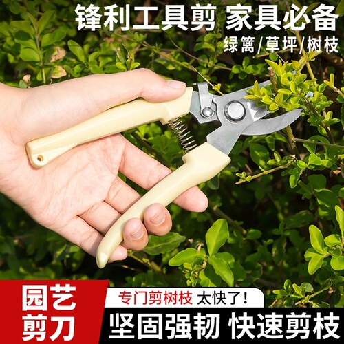 剪枝专用剪刀细枝剪省力修枝剪刀园艺修花木果树嫁接弯口园林工具