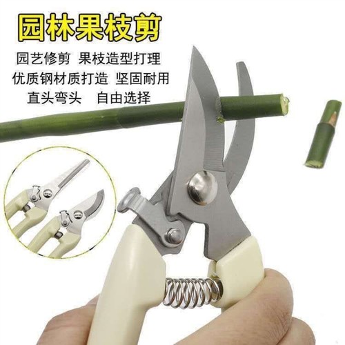剪枝专用剪刀德国细枝剪省力修枝剪刀园艺修花木果树嫁接园林工具
