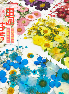 树叶植物标本幼儿园手工贴画DIY干花压花贴脸装饰花妆写真押花